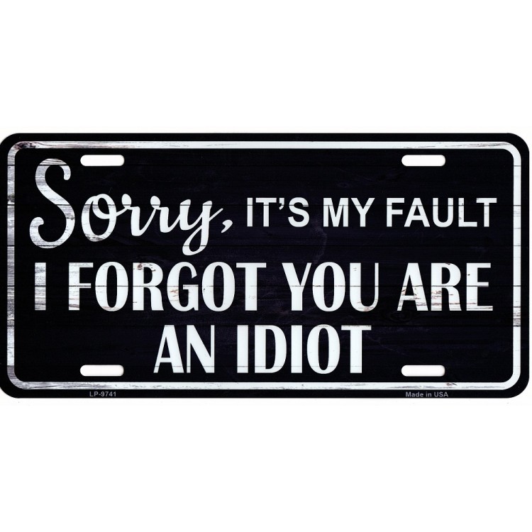 LP-9741 6 x 12 in. Sorry I Forgot You are An Idiot Metal License Plate