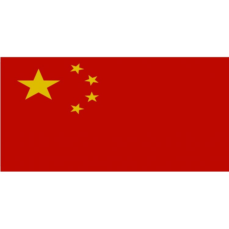 6 x 12 in. China Flag Photo License Plate