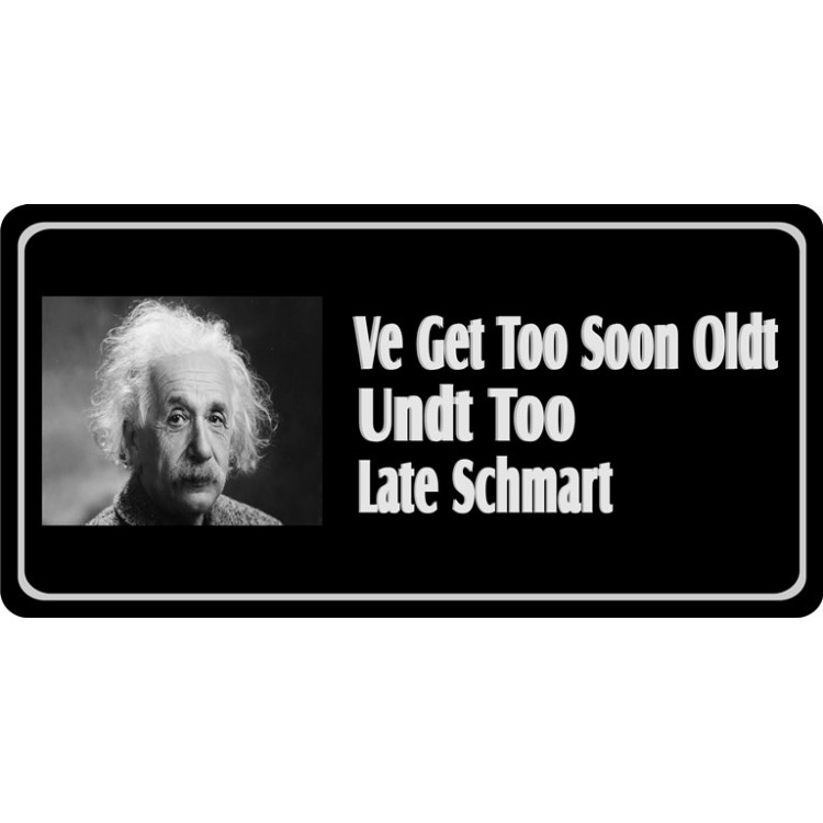 LPO3870 6 x 12 in. Albert Einstein Oldt Shmart Photo License Plate