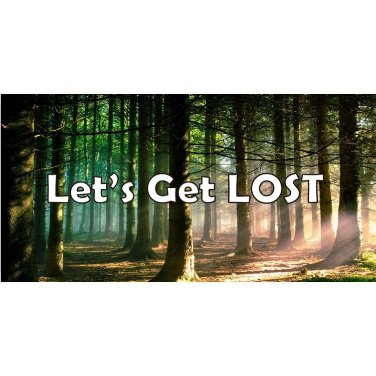 LPO3875 6 x 12 in. Lets Get Lost Forest Scene Photo License Plate