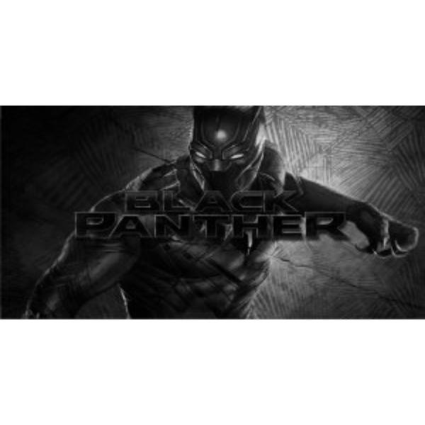 6 x 12 in. Marvel Black Panther Photo License Plate