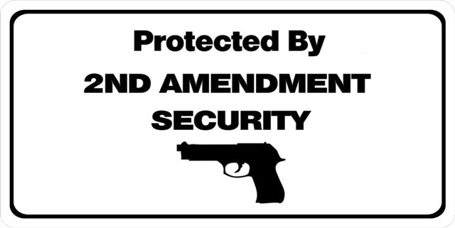 LPO1102 Protected by 2nd Amendment Photo License Plate