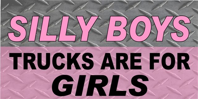 LPO1128 Silly Boys Pink Diamond Photo License Plate