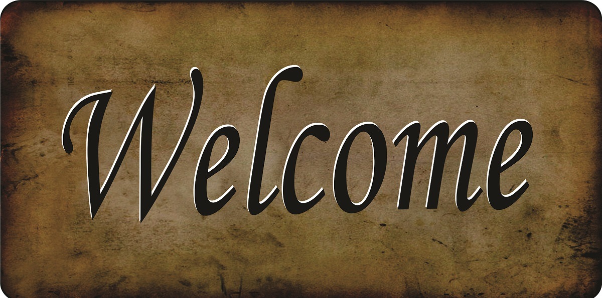 LPO7449 6 x 12 in. Welcome Photo License Plate