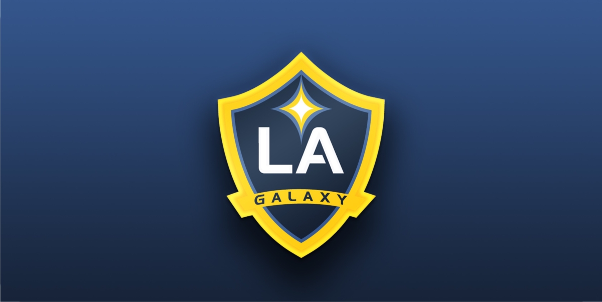 LPO1431 LA Galaxy Photo License Plate