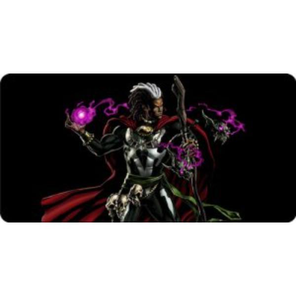 LPO3295 6 x 12 in. Dr. Voodoo Photo License Plate
