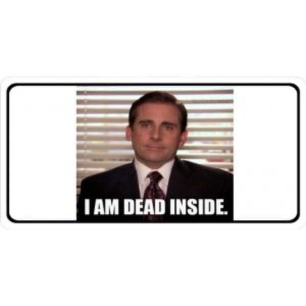 LPO3494 6 x 12 in. Dead Inside Photo License Plate