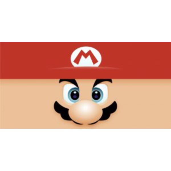 LPO3520 6 x 12 in. Mario Photo License Plate