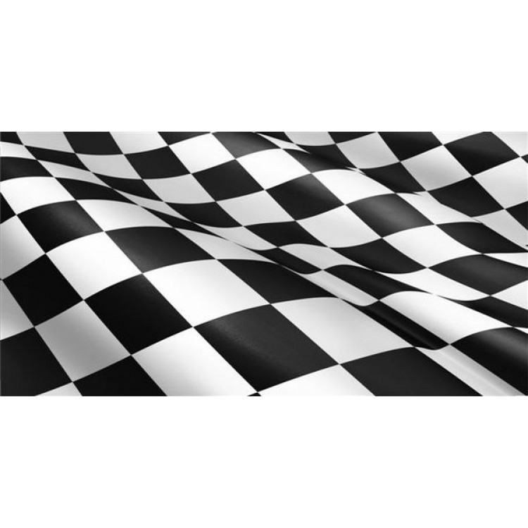 LPO1060 Checkered Flag Photo License Plate