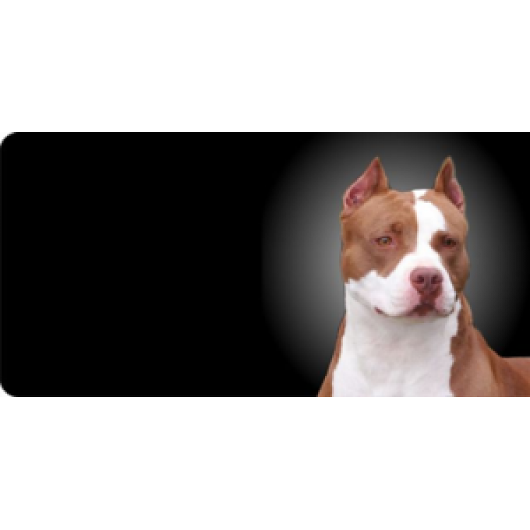 LPO548 Pitbull Dog Closeup Photo License Plate