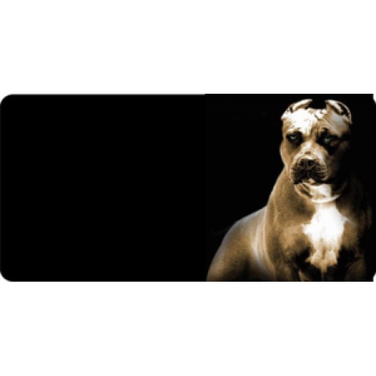 LPO549 Pitbull Dog Photo License Plate