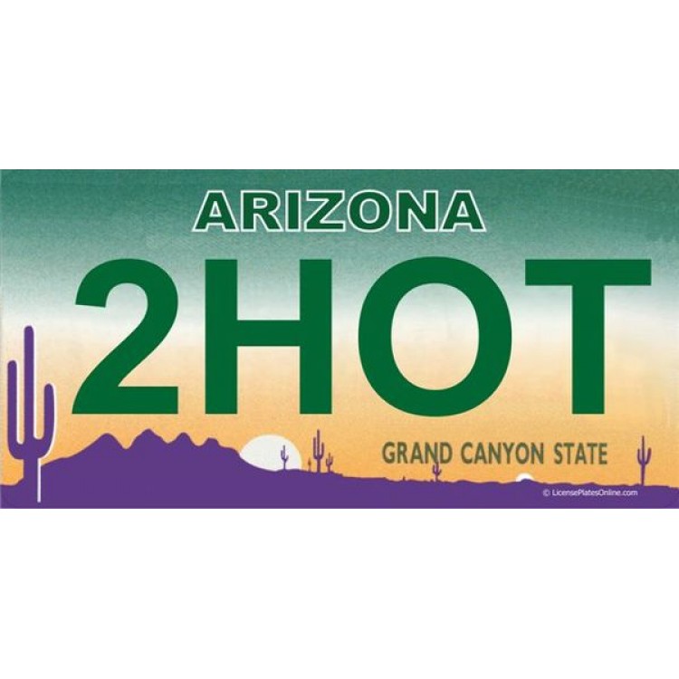 LPO1669 Arizona 2HOT Photo License Plate