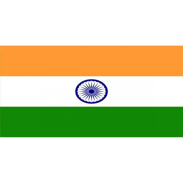 LPO1075 India Flag Photo License Plate