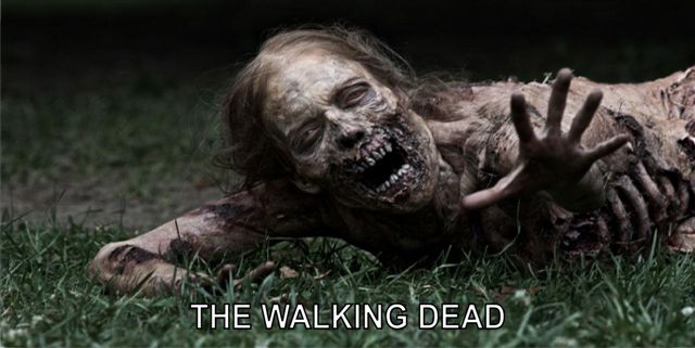 LPO701 The Walking Dead Photo License Plate