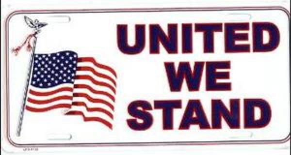 LPS416B 6 x 12 in. United We Stand License Plate