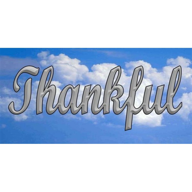 LPO1637 Thankful in Silver on Clouds Photo License Plate