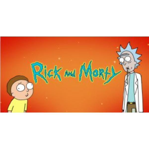 LPO3585 6 x 12 in. Rick & Morty No. 2 Photo License Plate