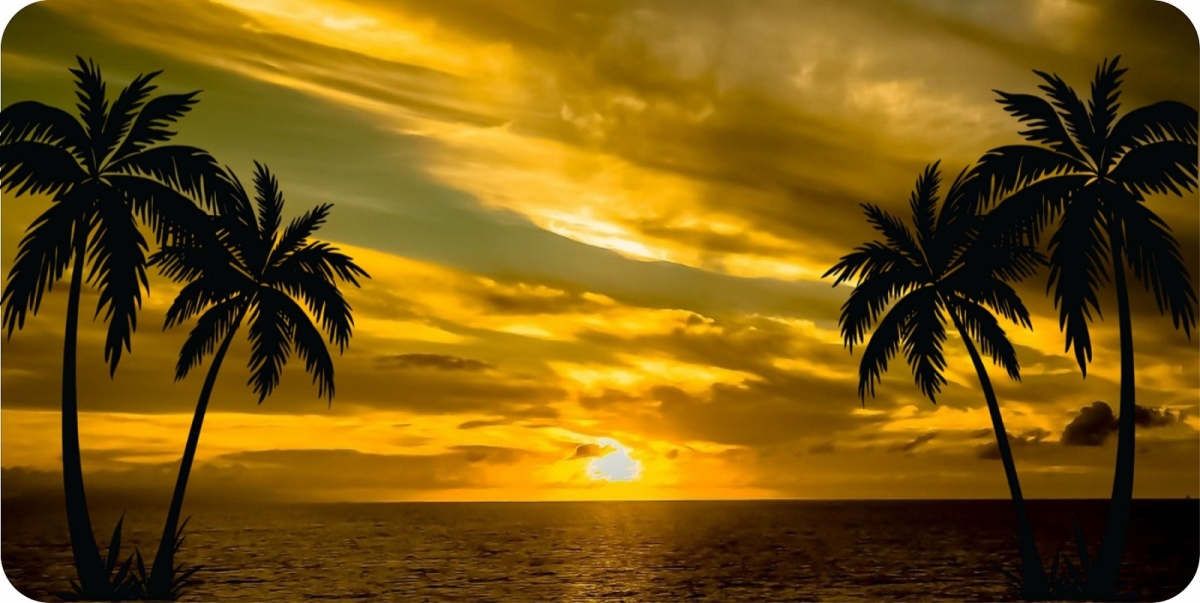 LPO7363 6 x 12 in. Yellow Palm Tree Photo License Plate