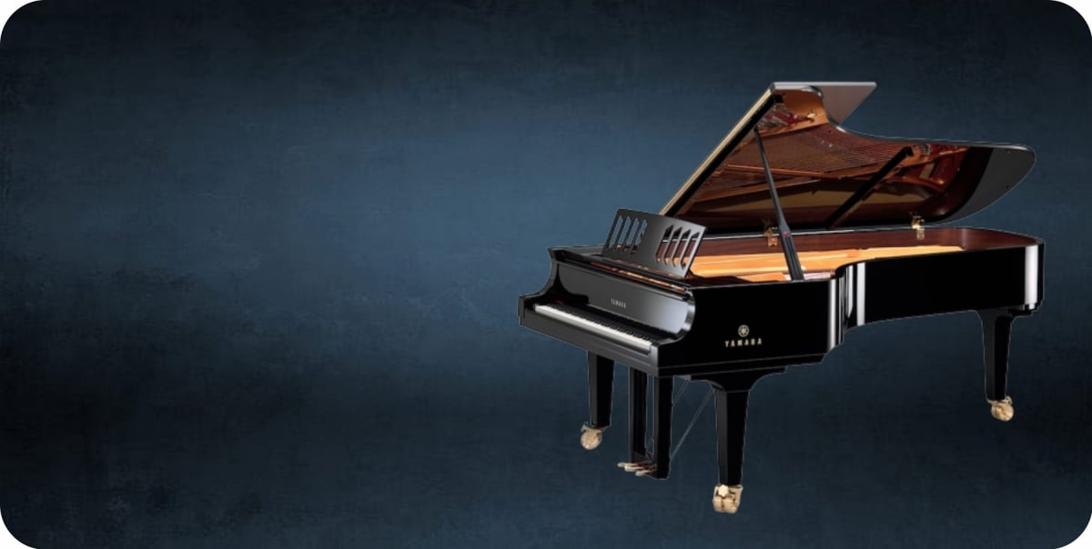 LPO8020 Piano Offset Photo License Plate