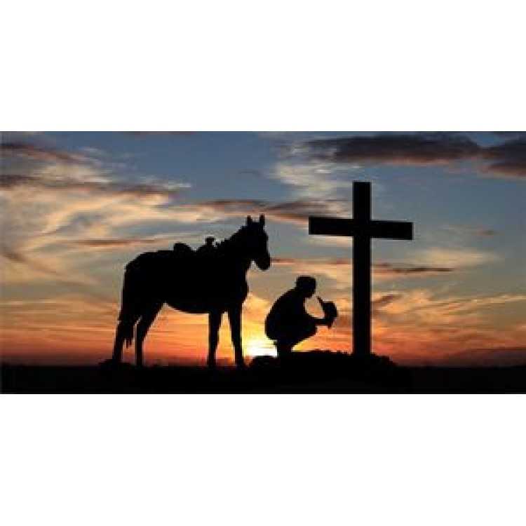 6 x 12 in. Praying Cowboy License Plate