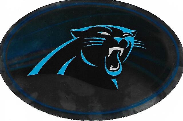 OVM0801 6 x 4 in. Carolina Panthers Chrome Die Cut Oval Decal