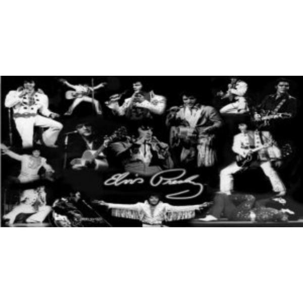 Elvis Presley all Over Black Photo License Plate