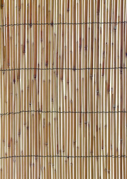 13 x 5 ft. Reed Fencing, Natural