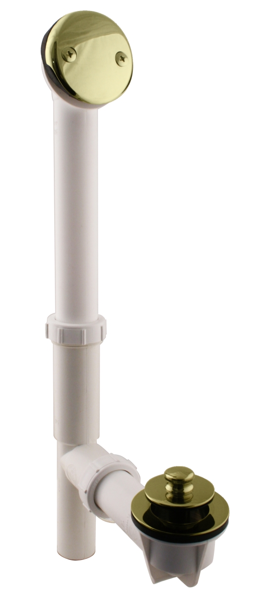 597244-01 1.5 in. White Tubular Pull & Drain Bath Waste in Polished Brass