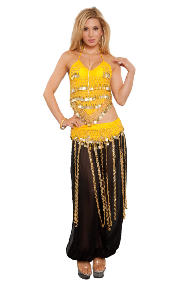 Picture of Western Fashion 4166-BK-S-MDL 3 Piece Belly Dancer Costume Set&#44; Black & Silver - Medium & Large