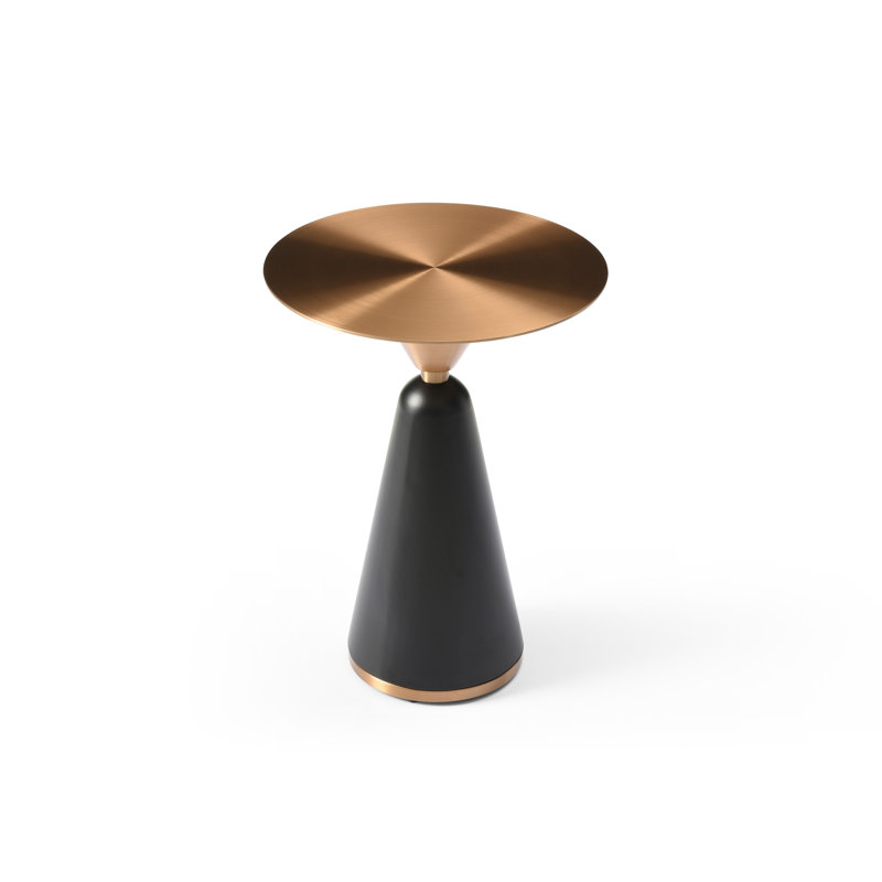 ST1897-BRZ 24 in. Stainless Steel Zora Side Table, Brass & Black