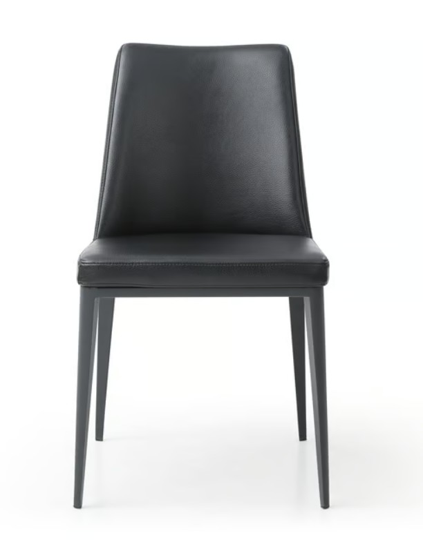 Whiteline DC1478P-BLK Carrie Dining Chair - Faux Leather BIX-HS051600, Sanded Powder-Coated Legs, Black