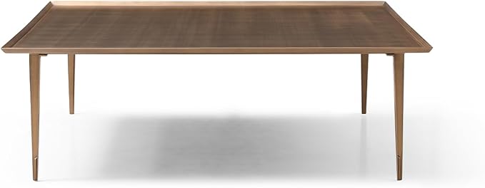47 x 16 in. Modern Living Nia Coffee Table - Bronze