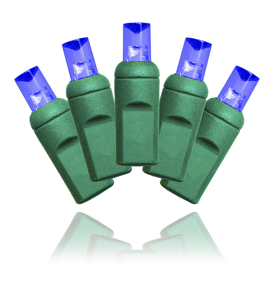 6 in. 50 5mm .25 Twinkle LED Lights Spacing, Green Wire - Blue
