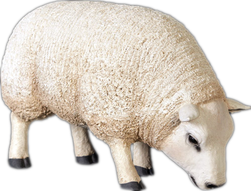 Life Size Sheep with Head Down