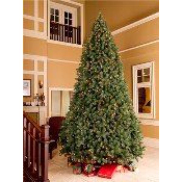 7.5 ft. Mixed Blended Pine Christmas Trees