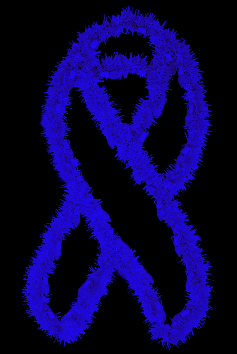 3 ft. Garland Awareness Ribbons, Blue
