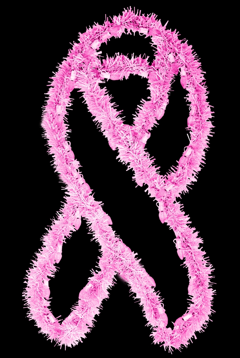 3 ft. Garland Awareness Ribbons, Pink