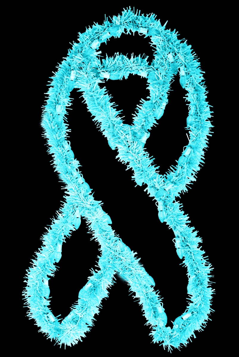 3 ft. Garland Awareness Ribbons, Teal