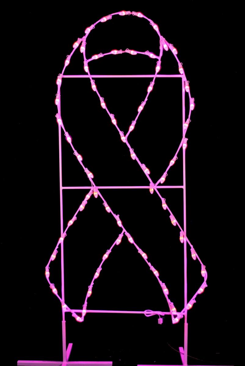 6 ft. Awareness Ribbons, Pink