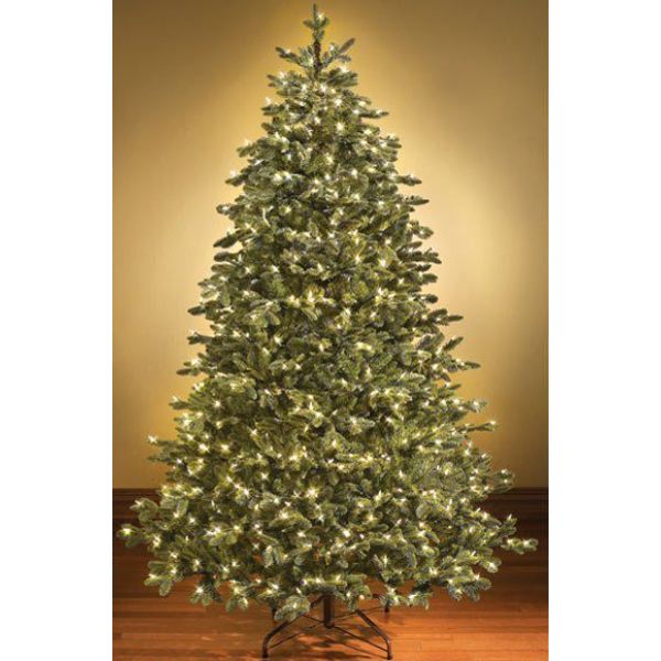 16 ft. Pre-Lit LED Sequoia Christmas Trees, Warm White