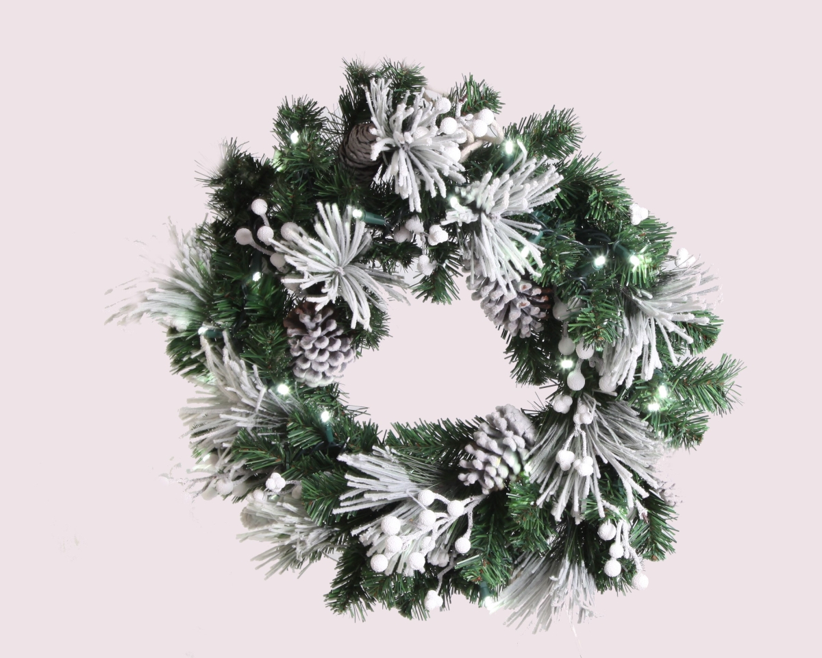 24 in. Flocked Christmas Wreath, White