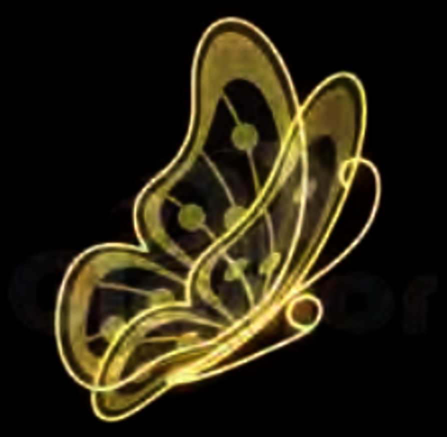 18 in. Side Butterfly Display