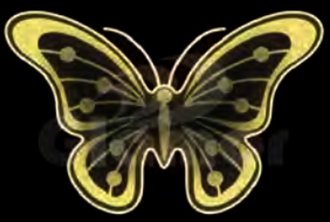 20 in. Butterfly Display
