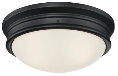 Picture of WestinghouseLighting 6324100 2 Light Meadowbrook Indoor Flush-Mount Ceiling Fixture, Oval