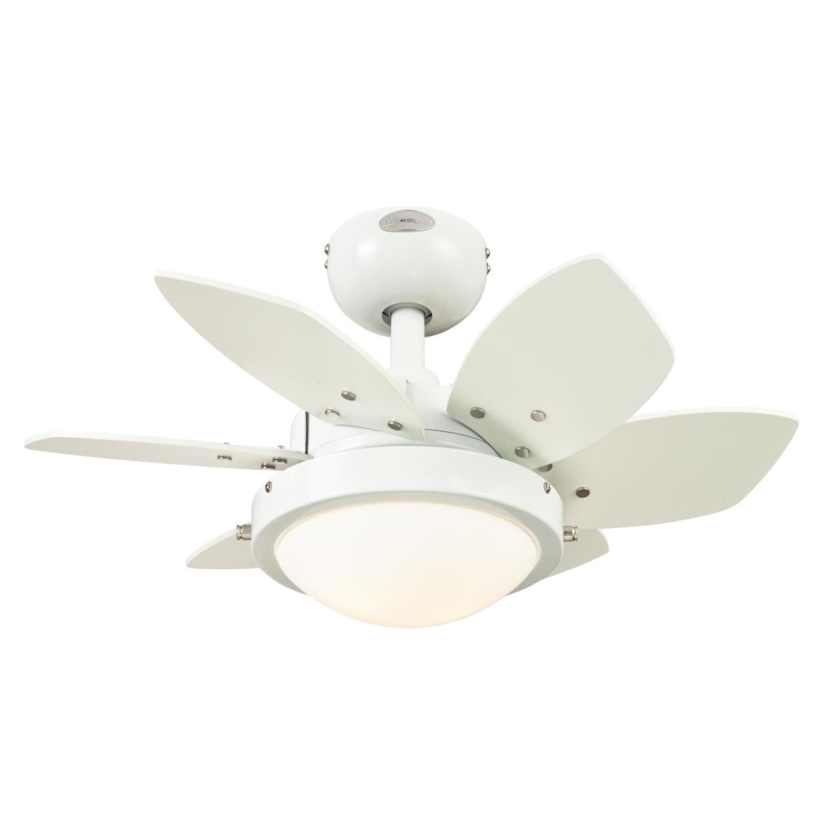 Picture of Westinghouse 7224700 24 in. Opal Frosted Glass Indoor Ceiling Fan with Reversible Blades - White & Beech