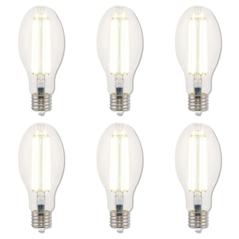 36W, 200W HID Equivalent Daylight ED28 High Lumen Filament LED Light Bulb - Extended Mogul Base - Pack of 6