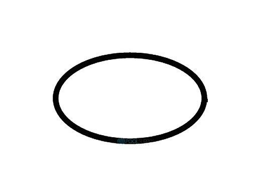 00B7013 Replacement O-Ring for W12612 V-Band Lid & Baker TM Valve