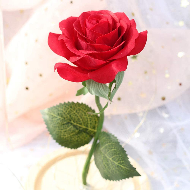 Rose Forever Light