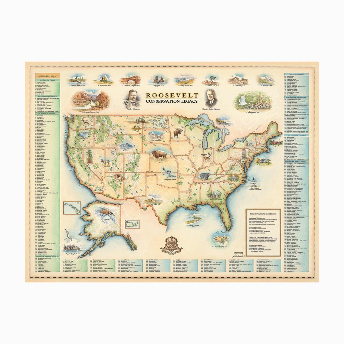 MAP_ROOS Roosevelt's USA Conservation Legacy Hand-Drawn Map