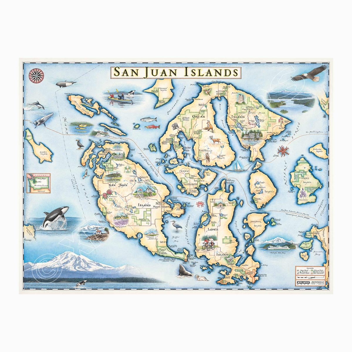 MAP_SJI San Juan Islands Hand-Drawn Map